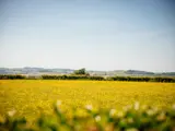 bowfield funeral venue in central scotland