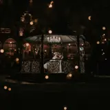bride and groom dancing in bandstand on boclair grounds