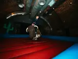 Bucking Bronco